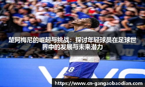 港澳宝典11133.com